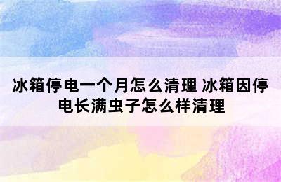 冰箱停电一个月怎么清理 冰箱因停电长满虫子怎么样清理